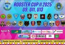 Rooster Cup II 2025